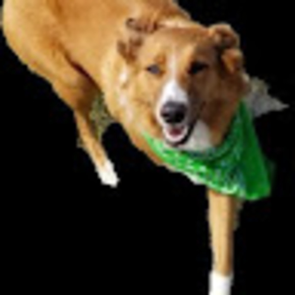 Meet your Posher, Helena - Picture 1 of 1